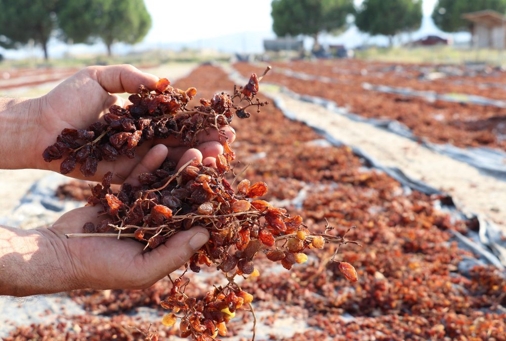 Üreticilere fiyat uyarısı