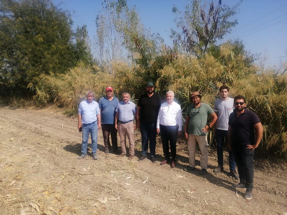 Başkan Bilgin beydere'de mısır hasadında