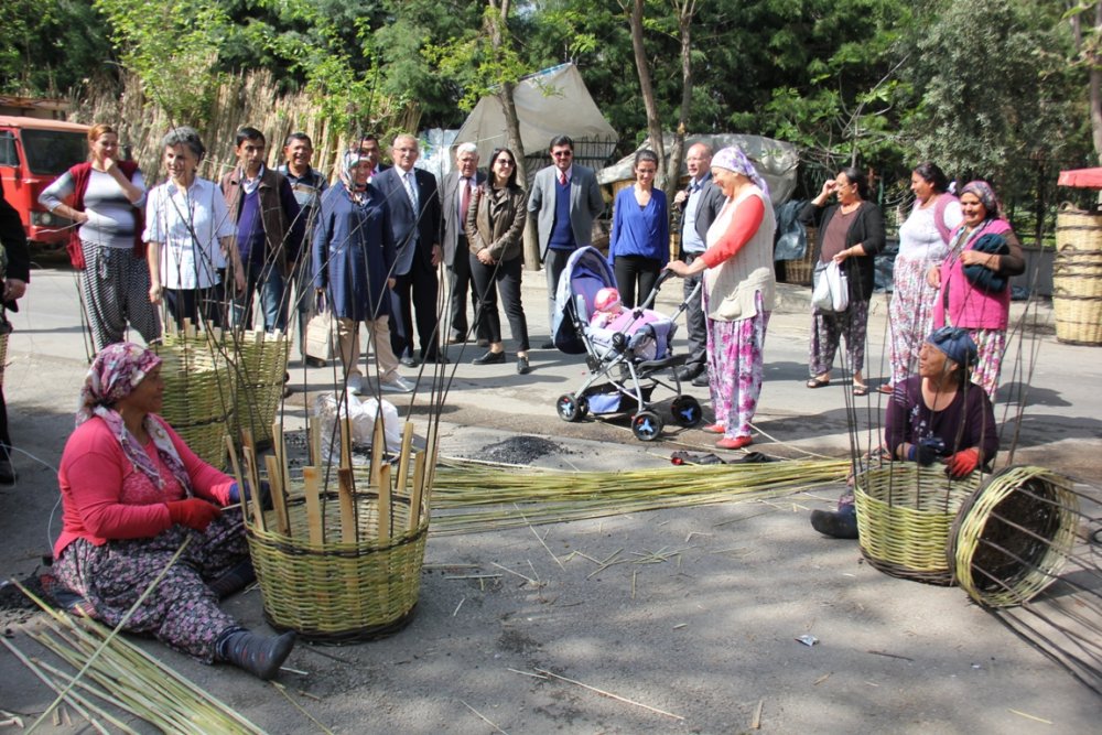 Romanlar siyasi parti kurdu
