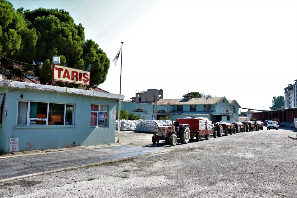 Üzüm alımları başladı