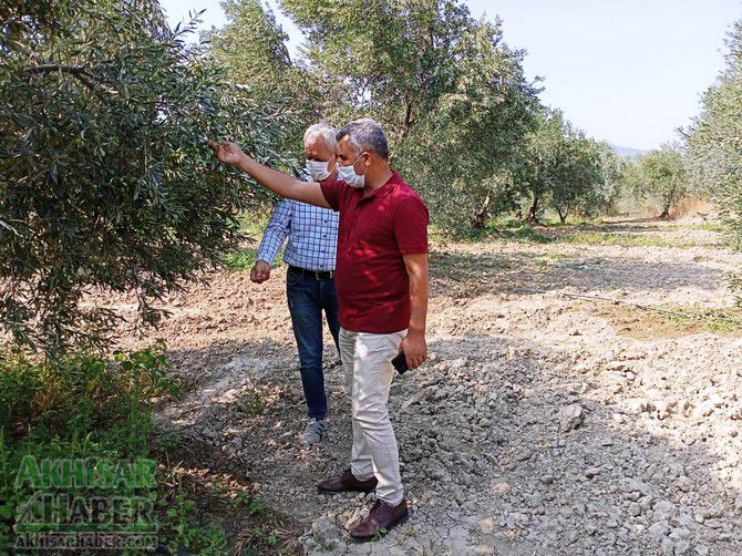 Hasad öncesi kontrol