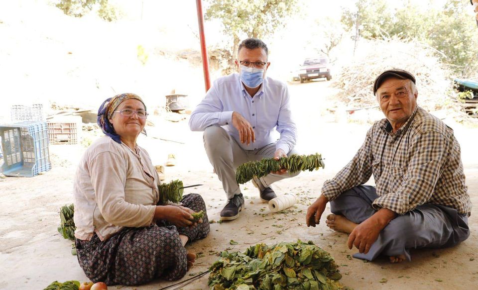 Başkan tütün dizdi