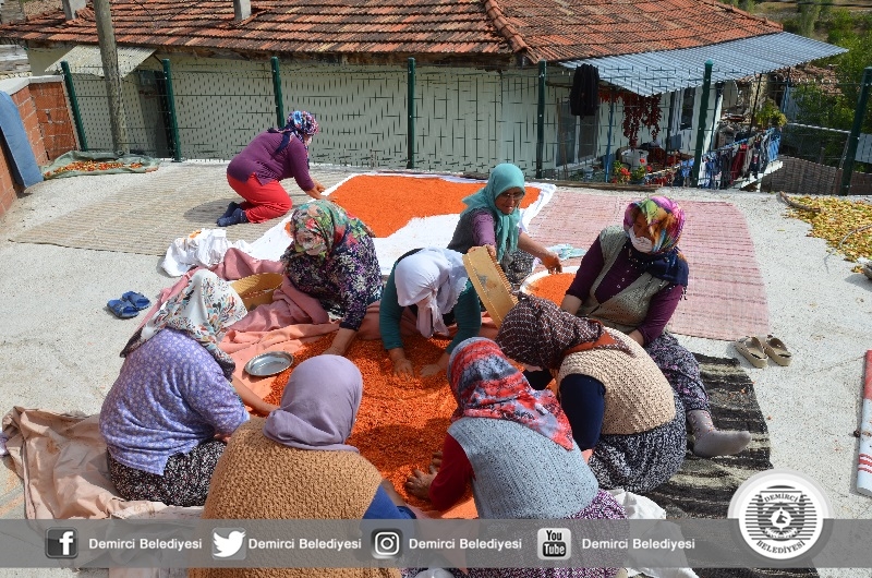 20 çeşit doğal üründen yapılan Demirci tarhanası