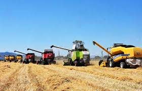 Buğday,arpa ve mısır'da gümrükler sıfırlandı