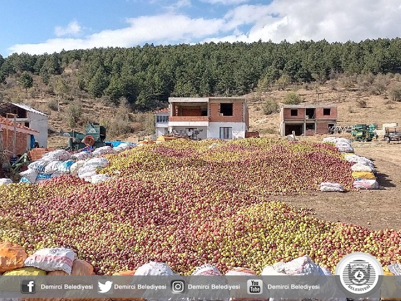 Meyve suyu Demirci elmasından