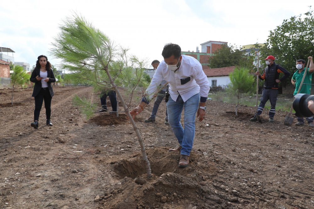 Cumhuriyet fidanları toprakla buluştu