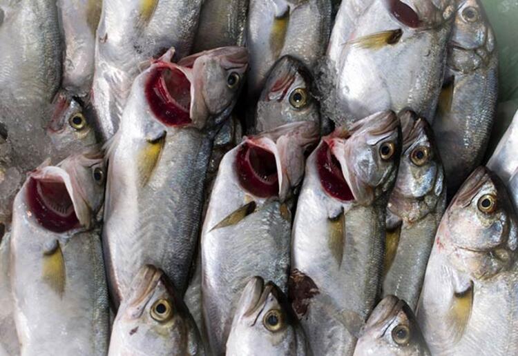 Çinekop 60 liradan satılıyor