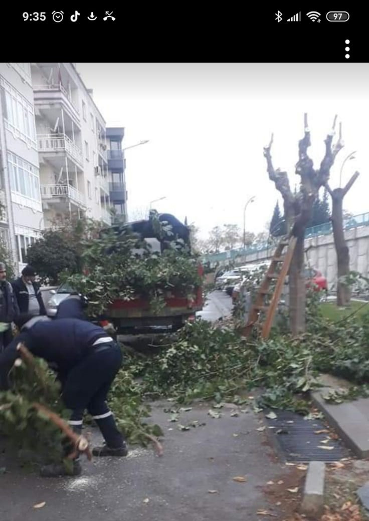 Dar gelirlilere yakacak yardımı