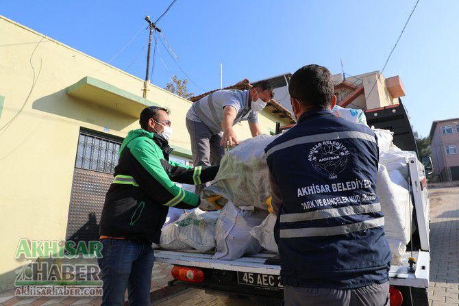 Budanan ağaçlar ihtiyaç sahiplerine yakacak oluyor