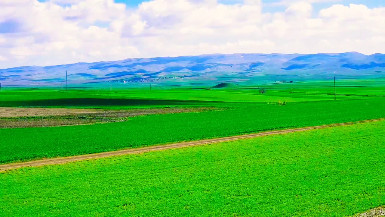 Korunacak ovalar belirlendi gediz ovası yok