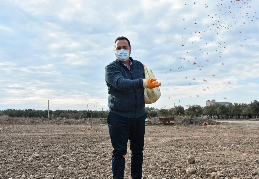 Dutlulu, bereketli Ata tohumu araziye serpti