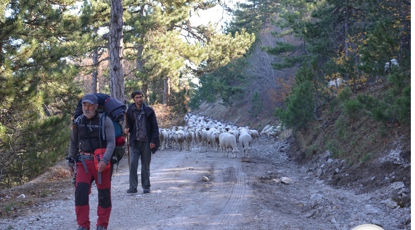 Yörük göçü Demirci'ye ulaştı