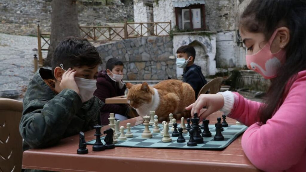 Satranç meraklıları darkalede buluştu