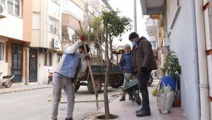 Alaşehir'i yeşillendirme başladı