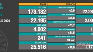 Bugün 241, dün 246 kişi yaşamını yitirdi