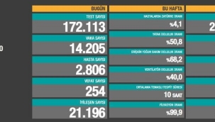 Bugün 254, dün 253 kişi yaşamını yitirdi