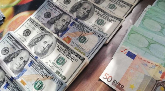 Dolar ve Avro sakın