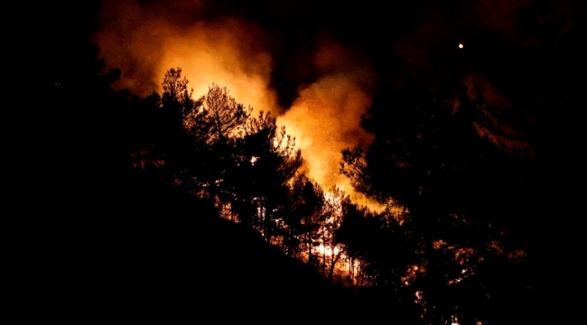 Hatay'da üç ayrın noktada yine yangın