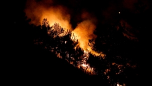 Hatay'da üç ayrın noktada yine yangın