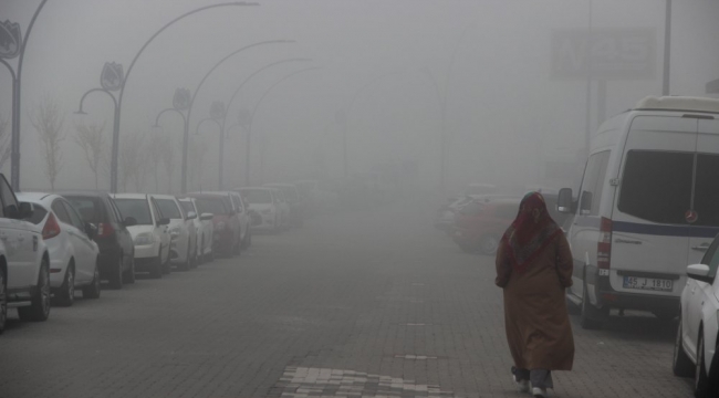 Manisa'da sis etkili oldu