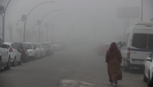 Manisa'da sis etkili oldu