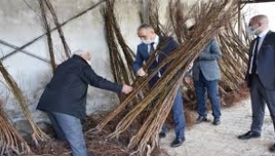 Turgutlu'da üreticiler kayısı yetiştirecek 