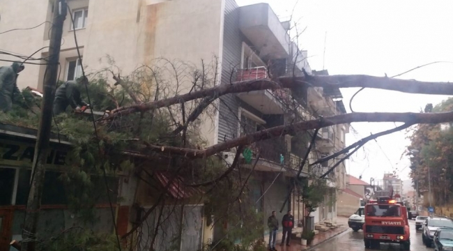 Alaşehir belediyesinden yağmur ve fırtına temizliği