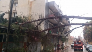 Alaşehir belediyesinden yağmur ve fırtına temizliği