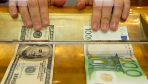 Avro ve dolarda son durum