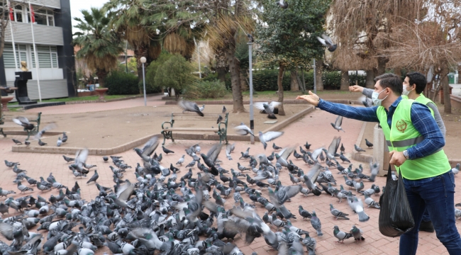 Belediye sokak hayvanlarını unutmadı