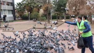 Belediye sokak hayvanlarını unutmadı