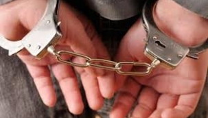 Devleti 15 milyar zarara uğratan 220 kişi gözaltına alındı