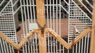 Eğitimde çöküş,936 kolej kapadı, 3 bin öğretmen 2 bin çalışan işsiz kaldı 