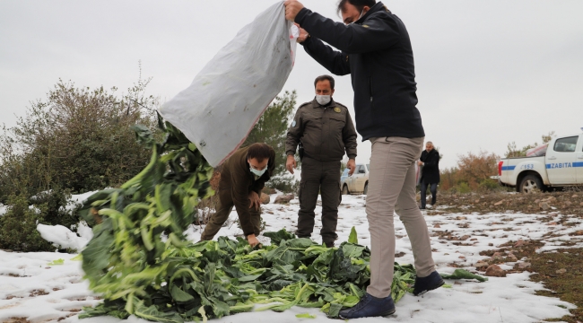 Saruhanlı belediyesi yaban hayvanlarını unutmadı