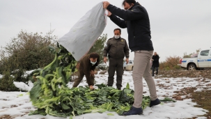 Saruhanlı belediyesi yaban hayvanlarını unutmadı