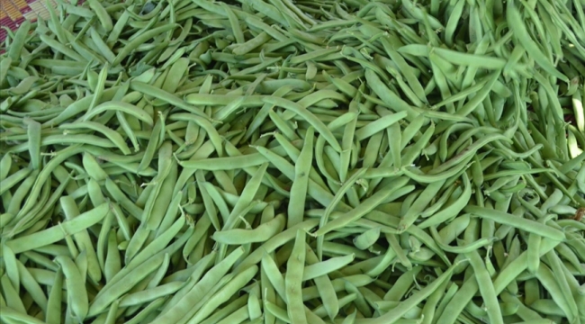 Taze fasulye yüzde 36.49'la zam şampiyonu