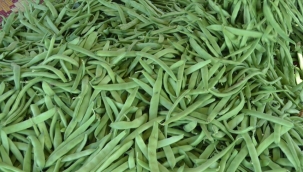 Taze fasulye yüzde 36.49'la zam şampiyonu