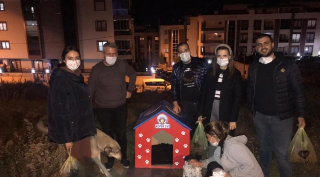 Turgutlu Genç İş İnsanları Platformu üyeleri , sokak hayvanlarını besledi