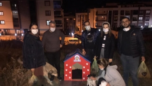 Turgutlu Genç İş İnsanları Platformu üyeleri , sokak hayvanlarını besledi