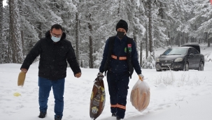 Yaban hayat korumak içi doğaya yem bırakıldı