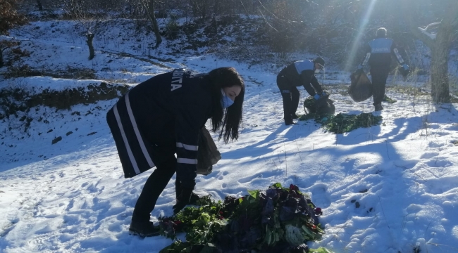 Yaban hayvanları unutulmadı