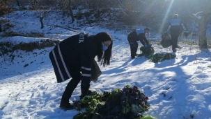 Yaban hayvanları unutulmadı