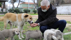 Başkan Bilgin aç hayvanı elleriyle besledi