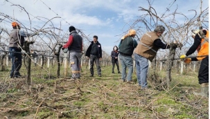 Çiftçilere saha uygulamasıyla tarım eğitimi 