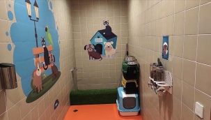 İstanbul havalimanı'nda 'evcil hayvan odası' 