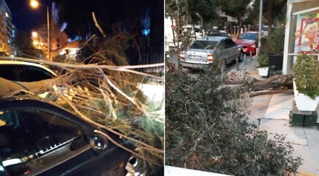 İzmir'de fırtına etkili odu