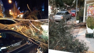 İzmir'de fırtına etkili odu