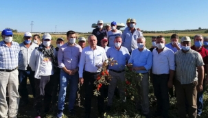 Manisa'da tapusu üzerine ipotek konulan kişi Sayısı : 83.982