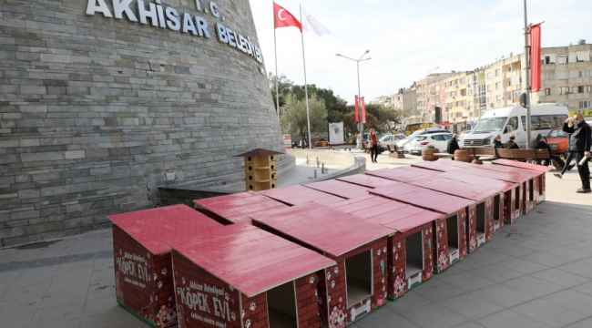 Sokak hayvanları evlerine kavuştu