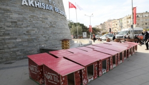 Sokak hayvanları evlerine kavuştu